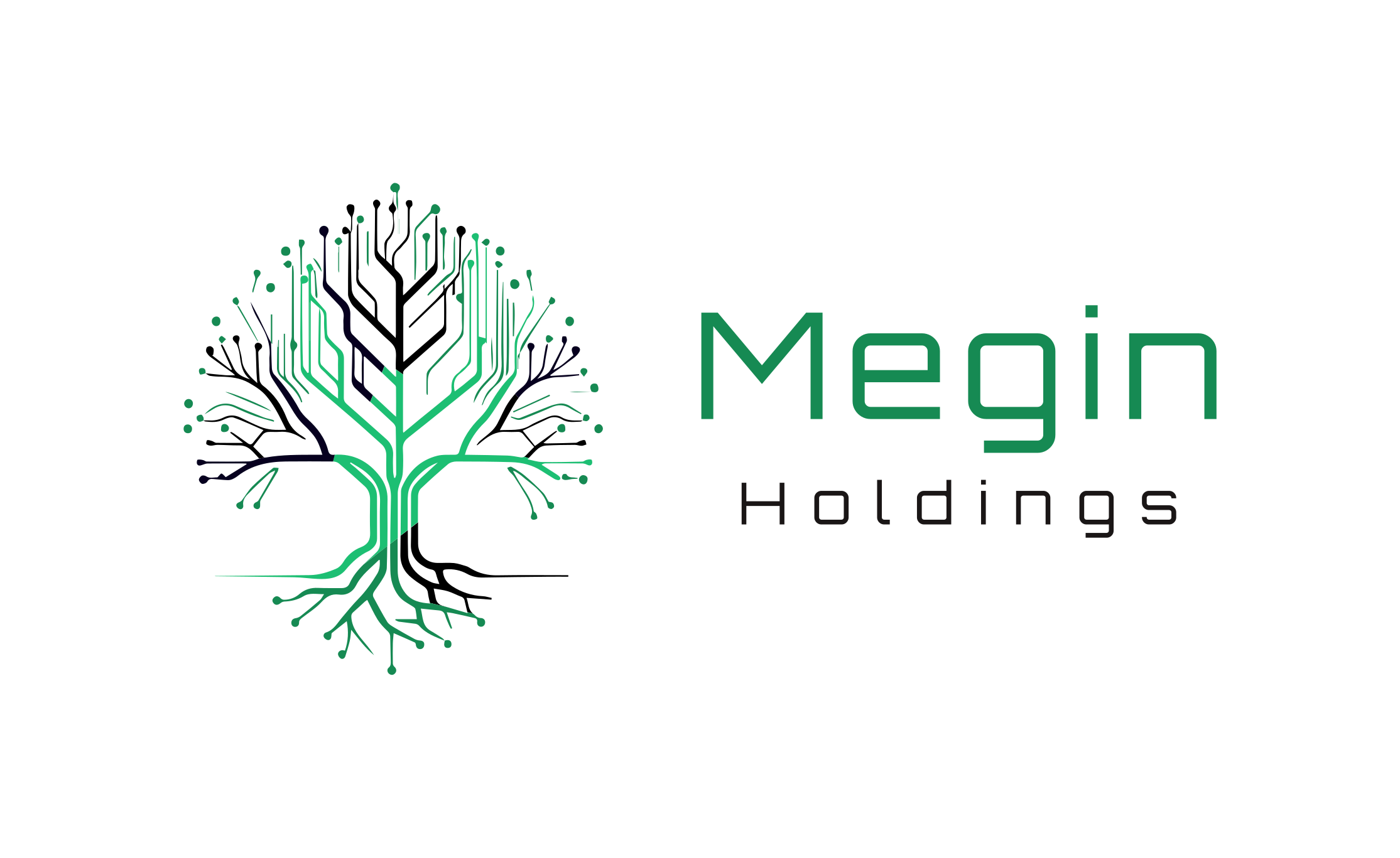 Megin Holdings